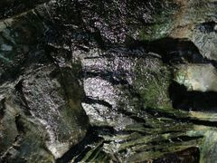 -大阪海游馆