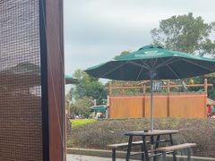 -雨林餐厅(长隆海洋王国店)