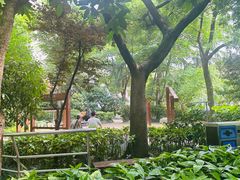 -静安公园(静安寺街道)