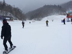 -亚布力新体委滑雪场