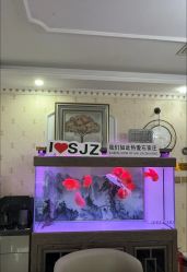 -安院长·产后恢复·徒手骨盆(先天下店)