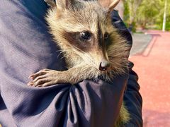 -水上乐园·欢乐世界