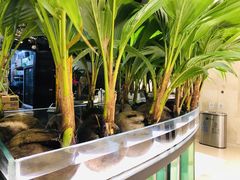 -凤园椰珍·臻品椰子鸡(保利时光里店)