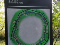 -嘉定紫藤园