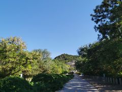 -府君山公园