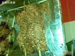 BT辣-西单翅酷(西单店)