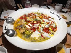 老坛子酸菜鱼-太二酸菜鱼(沈阳万象城店)