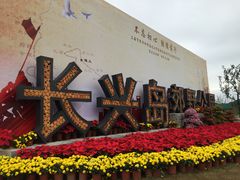 -上海长兴岛郊野公园