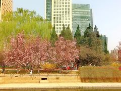 -元大都城垣遗址公园