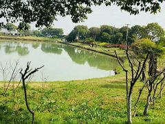 -上膳源有机蔬菜(三泉路店)