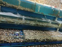 -港畔赶海蒸汽海鲜烧烤自助(仙螺岛店)