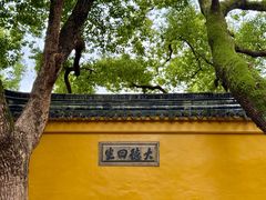 -西园寺素食(西园弄戒幢律寺店)