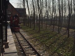 -合肥滨湖国家森林公园