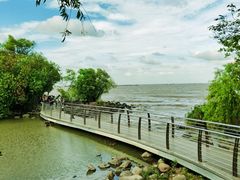 -上海吴淞炮台湾国家湿地公园