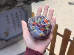 -亭林园-华藏寺