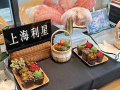 -奔驰上海利星(七宝店)