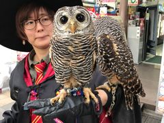-秋叶原电器街