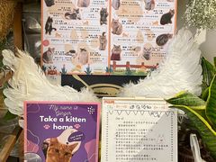 -小时光咖啡馆(北锣鼓巷店)