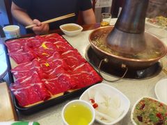 -阳坊胜利涮羊肉(禧乐汇店)