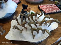 -尚海豆捞(乐虹坊店)