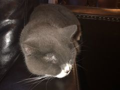 -雪茄客PURAVIDA俱乐部(上海店)