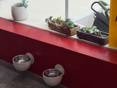 -御宝贝24h宠物医院·转诊中心·CT核磁血透中心(厦门总院)