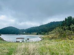 -武陵山森林公园