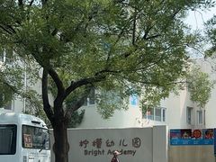 -柠檬国际幼儿园 Bright Academy