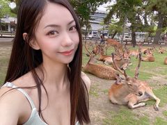 -奈良公园