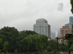 -团结湖公园