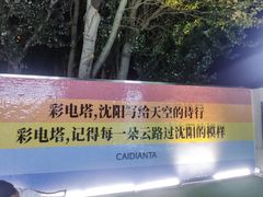 -辽宁电视塔