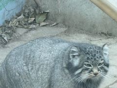 -青藏高原野生动物园