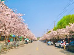 -永乐路-路侧停车场