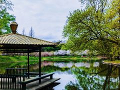 -上海共青森林公园