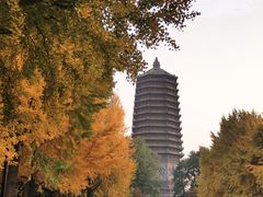 -玲珑塔公园