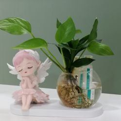 -清颜堂丨分子祛痘·功效美肤
