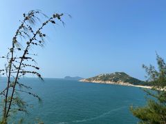 -广东惠东海龟国家级自然保护区