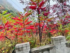 -白草畔自然风景区