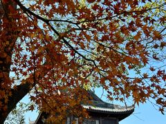 -虞山风景区