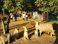 -宝莱纳餐厅(滨江店)