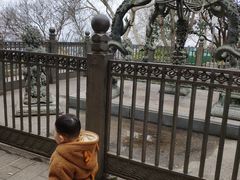 -紫金山天文台