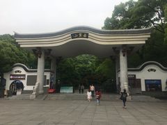 -茶颜悦色(岳麓山顶店)