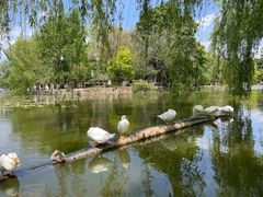 -荔湾湖公园