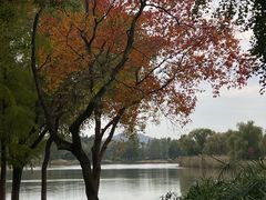 -长广溪湿地公园