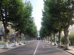 -四川大学(望江校区)