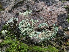 -终南山国家森林公园