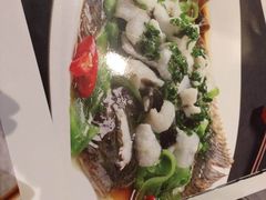 -锦粤宫·精致粤菜(深圳北站店)