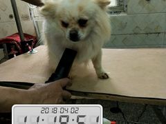 -惠宾花鸟宠物店