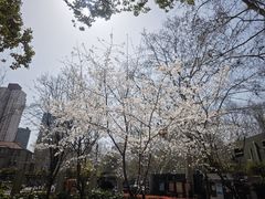 -徐家汇源景区-衡山公园