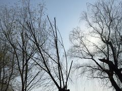-鸣鹤古镇
